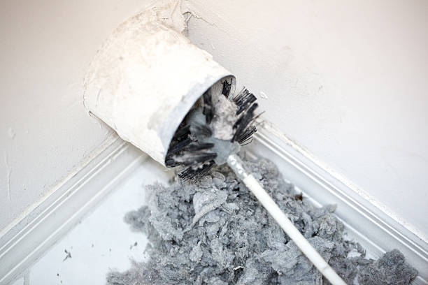 Best Dryer Vent Cleaning Services  in Barbourville, KY